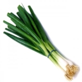 Spring Onion