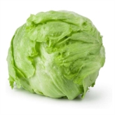 Iceberg Lettuce