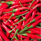 Red Chilli