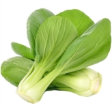 Green Pak Choi