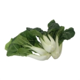 White Pak Choi