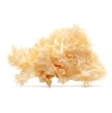 Dried White Fungus