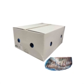 Polish Pork Spare Ribs *Printed Box