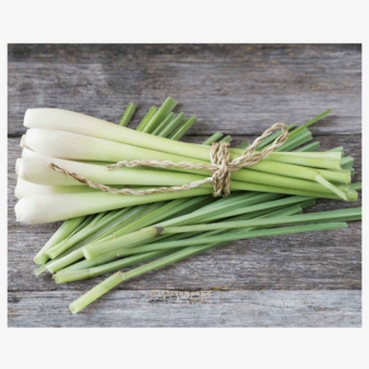 Fresh Lemon Grass ( 香茅 )