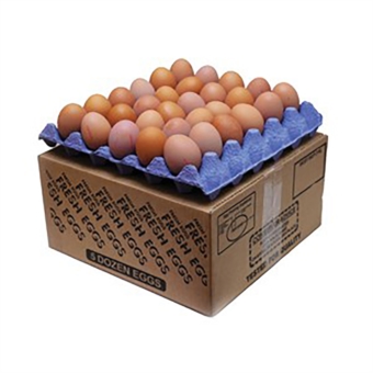 mis Fresh Eggs Large Size (12 trays) ( 新鮮雞蛋 )