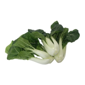 Fresh White Pak Choi ( 白白菜 )